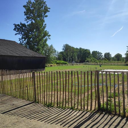 'T Dagwant Villa Geraardsbergen Eksteriør bilde